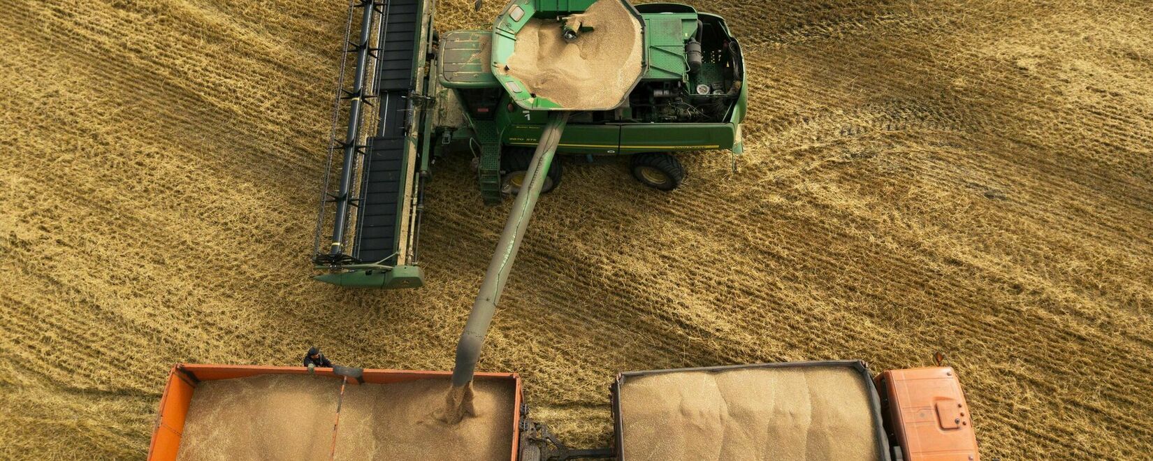 The Central Bank predicts the harvest of 130-145 million tons of grain in Russia in 2023