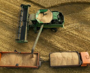 ЦБ прогнозирует сбор 130-145 млн тонн зерна в России в 2023 г