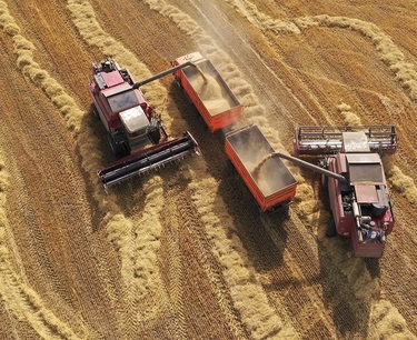 Казахстан ожидает открытие Китая и Ирана для экспорта пшеницы