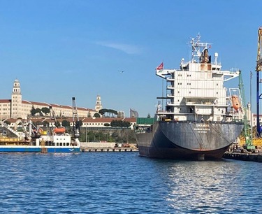 Украина начала регистрацию судов для вывоза зерна по Черному морю