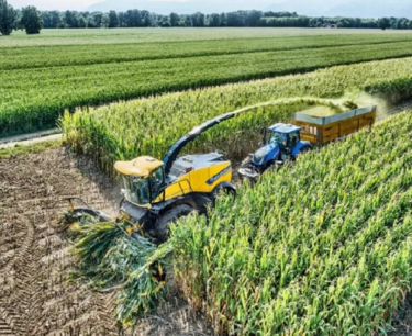 Совместный проект РК и РУ по выращиванию зерна и кормовых культур будет запущен до конца года