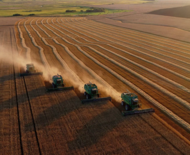 韩国增加了对大米的消费，缩减了粮食自给自足的耕种面积，呼吁农业创新。