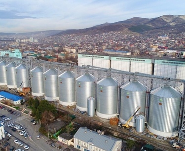 Grain processing at the Novorossiysk bread production plant increased by 38% for the current season.
