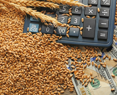 В России с начала ноября будет уменьшена пошлина на экспорт пшеницы