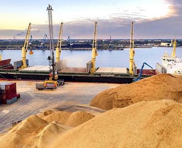 Куба заинтересована в заключении сделок на поставку зерна из Ростовской области, в том числе пшеницы, кукурузы и масел