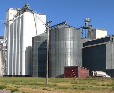 Development plans for the agro-industrial sector of the Russian Far East include new grain elevators, plants, and a Russian-Chinese agro-park.