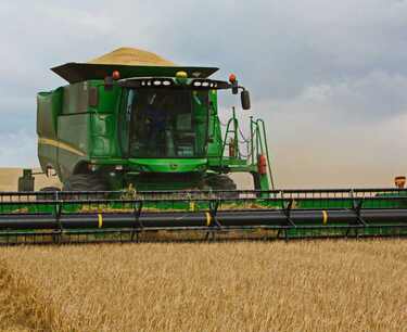 Barley harvest in Germany exceeded expectations