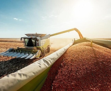 Overview of the grain market on 19.05.2023