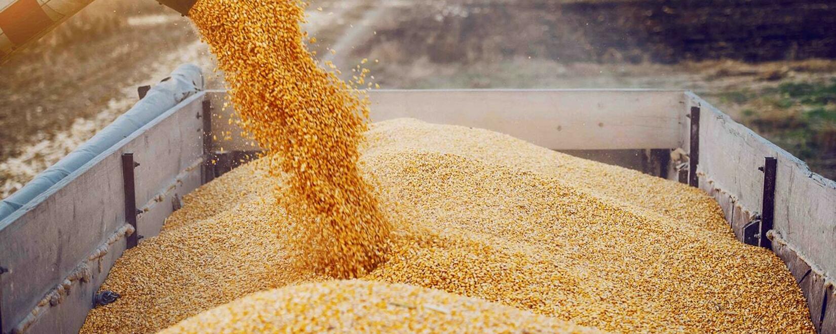 США продолжают работать с ООН над ускорением экспорта зерна и удобрений из РФ и Украины