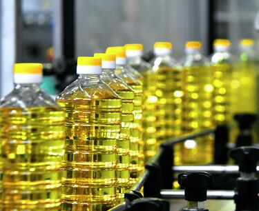 За последние 20 лет Россия вышла на 2 место в мировой торговле подсолнечного масла, шрота и рапсового масла, – Мальцев