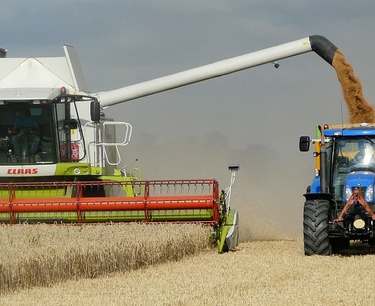 Цены на зерно: кукуруза упала, пшеница растет, овес снижается. Обзор котировок зерновых бирж на 18 марта 2024 года.
