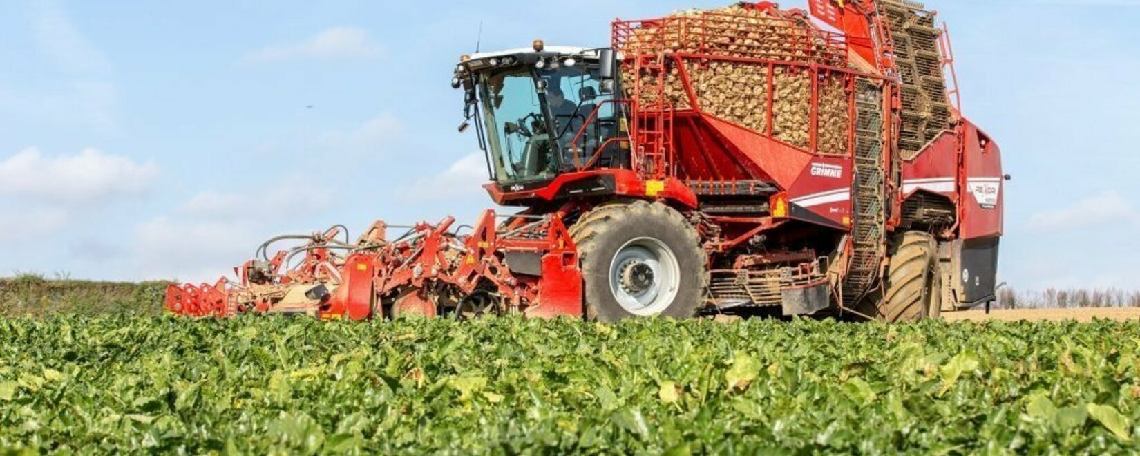 Успешный урожай 2023 года сахарной свеклы и кукурузы в холдинге «Астарта-Київ»