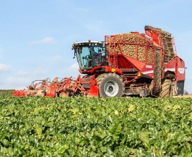 Successful 2023 harvest of sugar beets and corn in the Astarta-Kiev holding