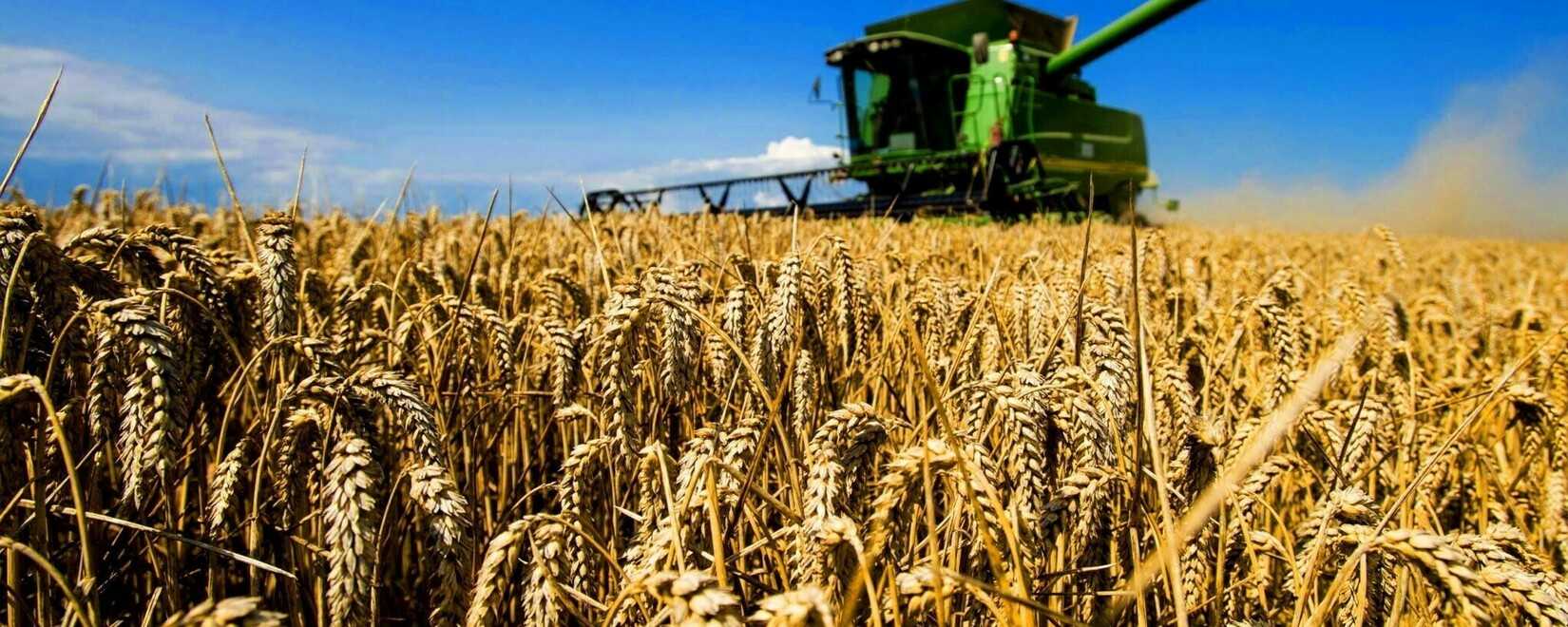 На заседании стран содружества Белоруссия выступила с предложением создать единый аграрный рынок для стран СНГ
