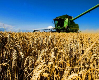На заседании стран содружества Белоруссия выступила с предложением создать единый аграрный рынок для стран СНГ