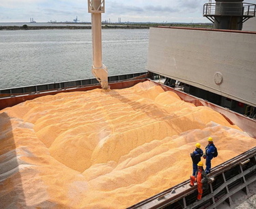 В 2023/24 МГ Россия может экспортировать до 60 млн тонн зерна – вице-премьер