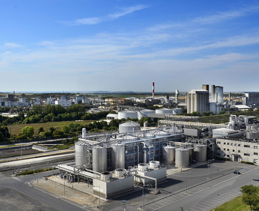 坦波夫地區最大的糖廠之一計劃向中國供應產品