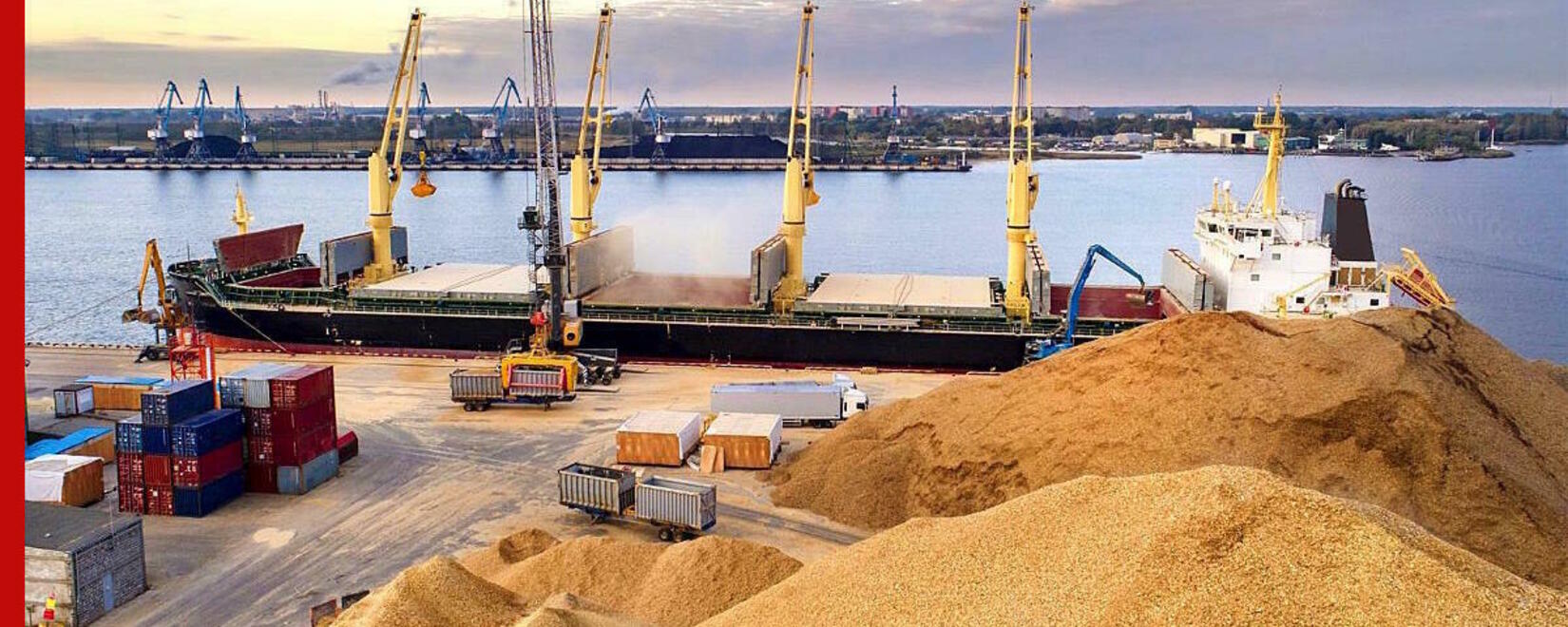 Отгрузки пшеницы из РФ на экспорт с 1 по 20 октября сократились на 12,2%