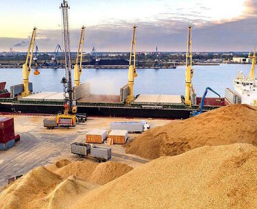 10月1日至20日俄罗斯联邦出口小麦发货量减少12.2%