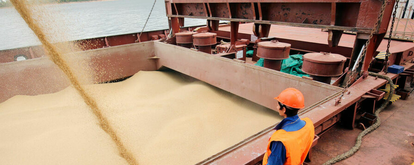 Минсельхоз получил уведомление от Viterra о прекращении экспорта зерна