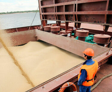 The Ministry of Agriculture received a notification from Viterra on the termination of grain exports