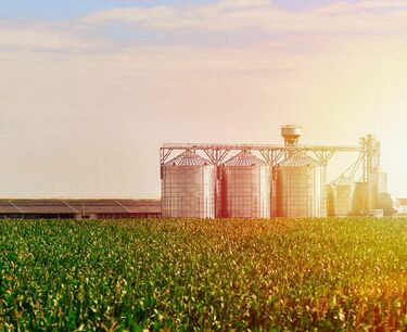 Мировой рынок зерна: кукуруза на CBOT выросла в цене, пшеница и соя подешевели в четверг