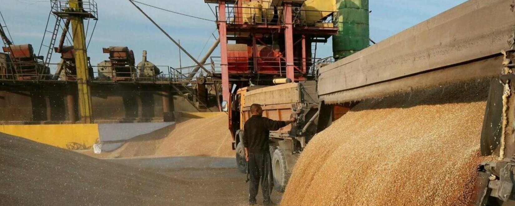 Россия с 1 по 18 сентября увеличила отгрузки пшеницы на экспорт на 27%