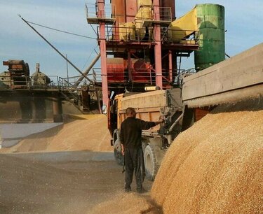 Russia increased wheat export shipments by 27% from September 1 to 18