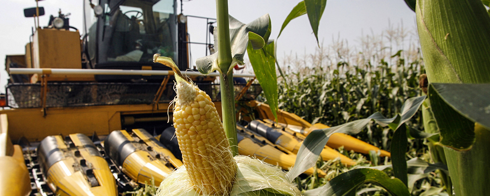 Фонд Говарда Г. Баффета и Corteva Agriscience подарили украинским фермерам семена Pioneer для увеличения урожайности и поддержки сельского хозяйства