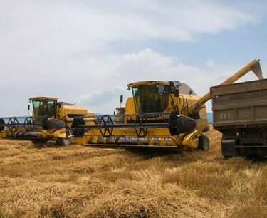 Грузия сняла запрет на экспорт пшеницы
