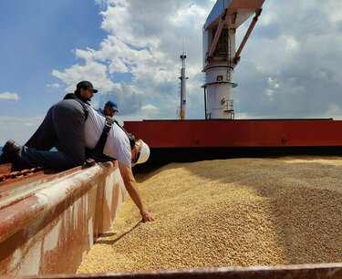 "Зерновая сделка" к окончанию срока почти сошла на нет, инспекции редки
