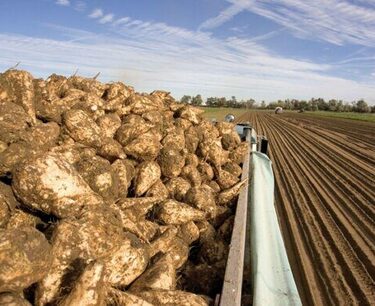 奥廖尔州出口了接近2千吨经过俄罗斯农业监督局审查的甜菜渣到中国。