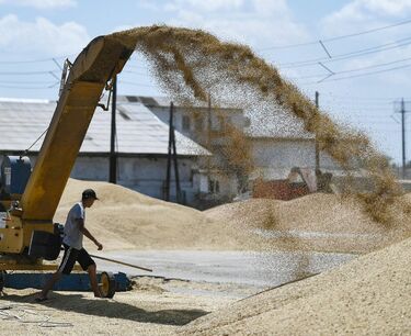 Россия безвозмездно поставляет пшеницу в Африку: обещания выполнены, объемы увеличены, цены снизились