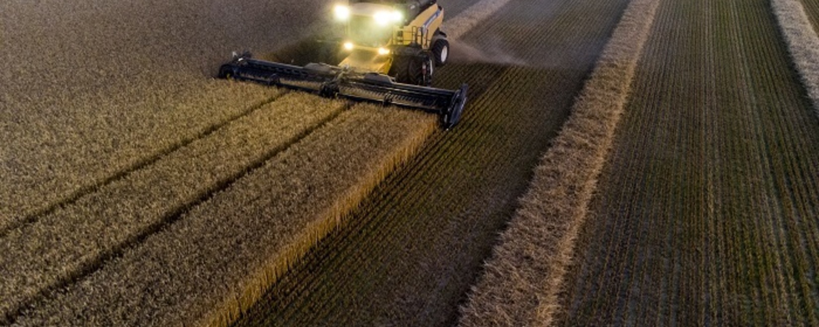 Минсельхоз США повысил прогноз по экспорту пшеницы из России на 1,5 млн тонн