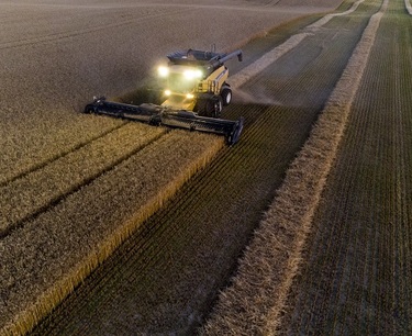 The US Department of Agriculture raised the forecast for wheat exports from Russia by 1.5 million tons