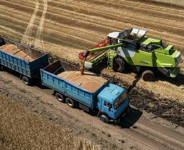 Пошлина на экспорт пшеницы снизится с 28 июня