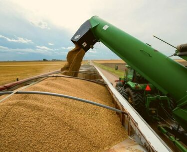 Египет решил потратить $1,45 млрд на закупку пшеницы у местных фермеров  ИА Красная Весна