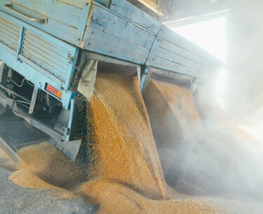 В Кремле скептично оценили перспективы продления зерновой сделки