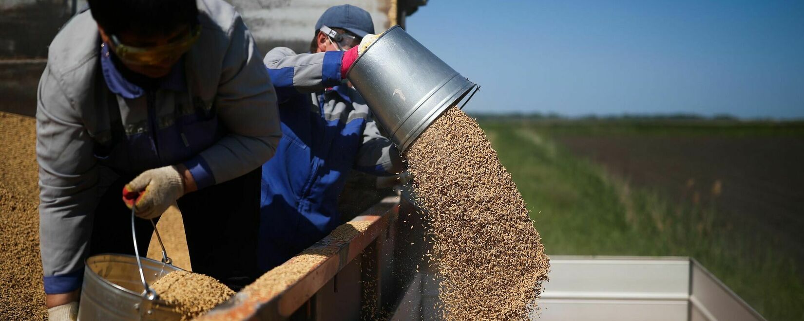 Запасы российского зерна на конец июня выросли на 58,4 процента