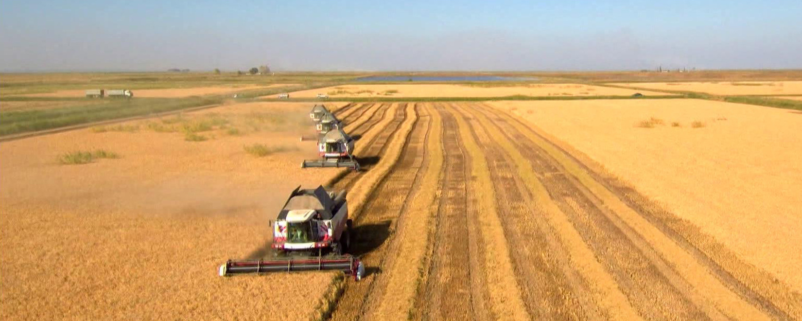By October 20, the Russian Federation had collected 137.2 million tons of grain
