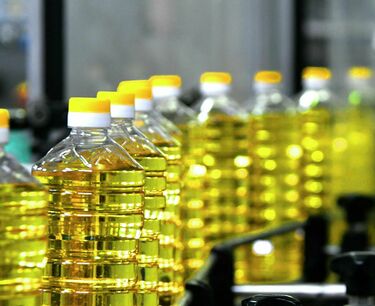 Россия увеличила экспорт подсолнечного масла в Джибути в 2,6 раза