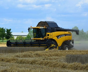 Россия завершила поставку 200 тыс. тонн пшеницы в шесть стран Африки как гуманитарную помощь.