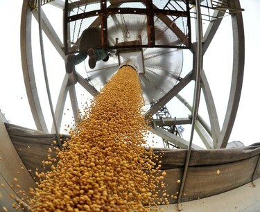 库兹巴斯对外粮食出口年率增长5倍