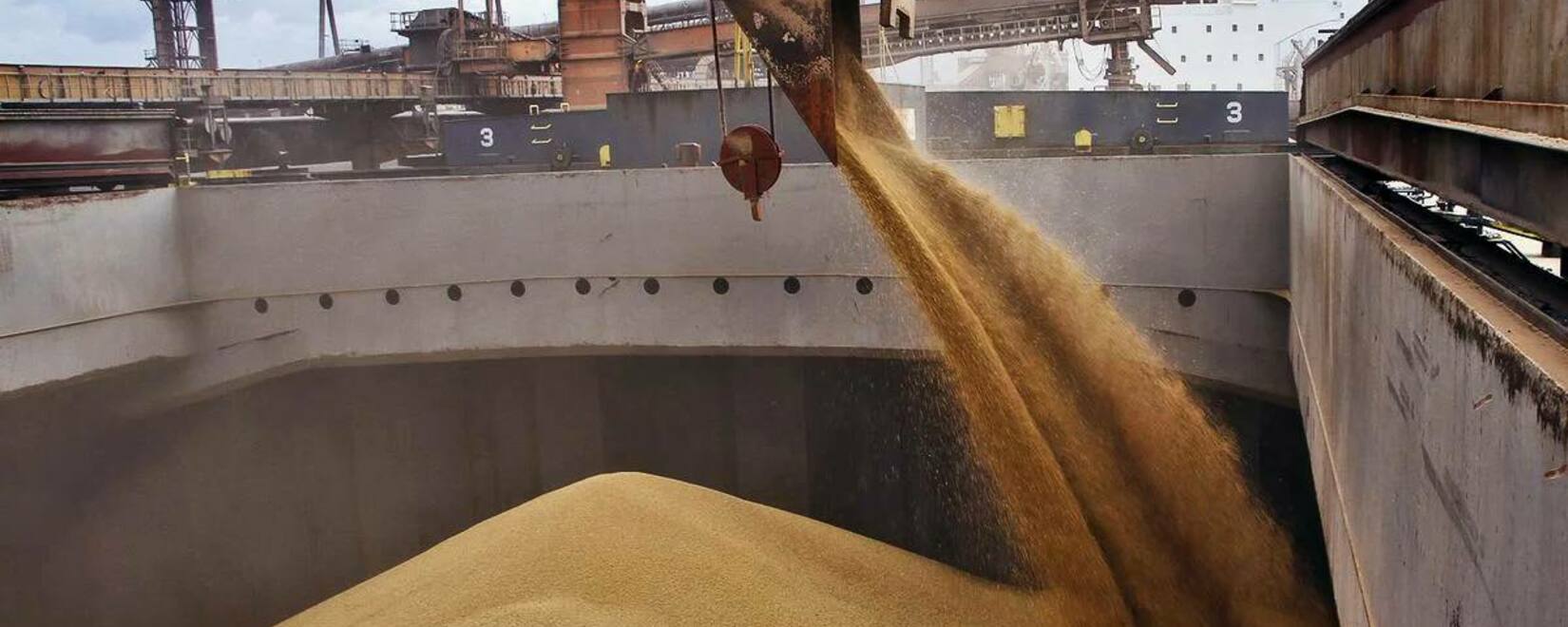 Patrushev: Russian grain deliveries to Africa will begin within a month and a half