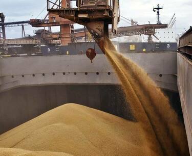 Патрушев: Поставки российского зерна в Африку начнутся в течение полутора месяцев