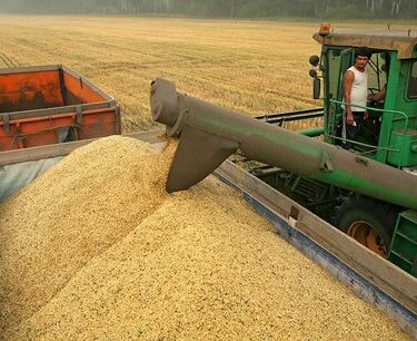 Обзор зернового рынка на 12.05.2023