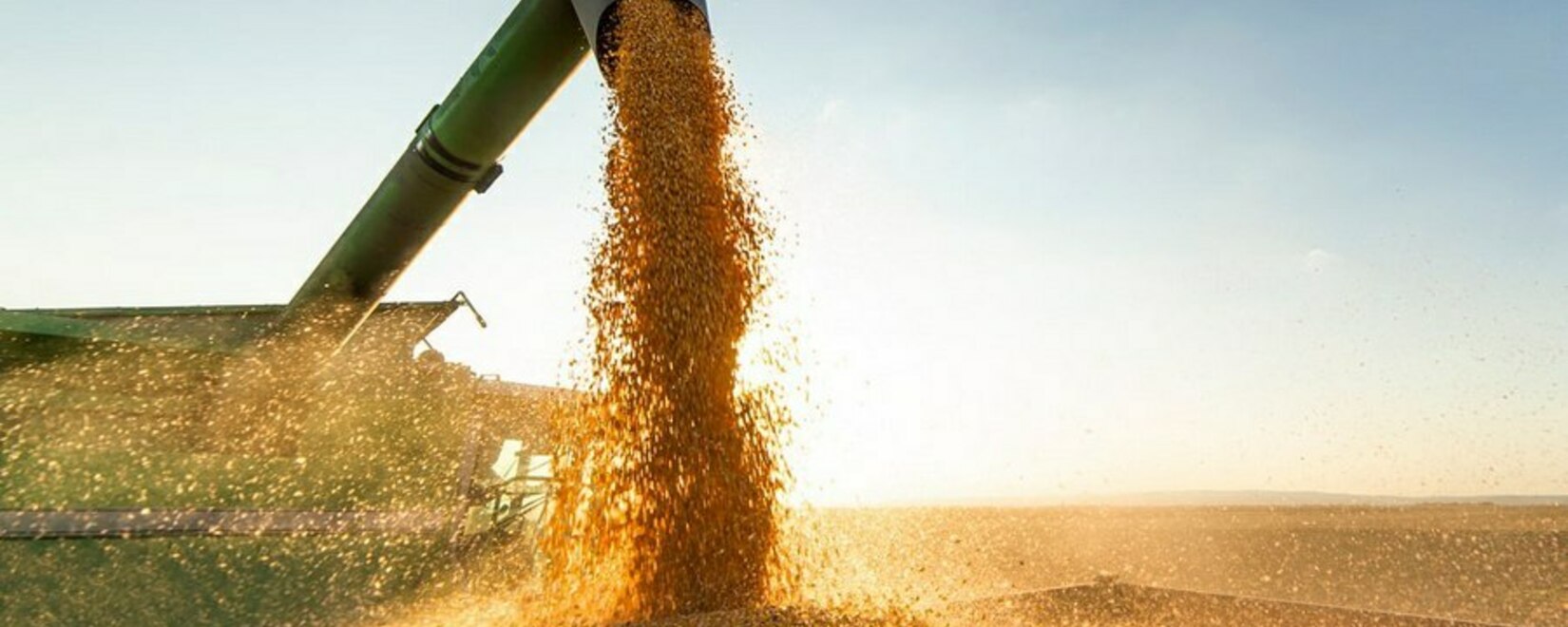 Более ста миллионов долларов: Приамурье увеличило в несколько раз экспорт зерна и сои