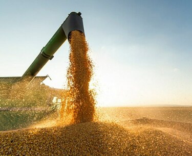过亿美元：阿穆尔州粮食、大豆出口数倍增长