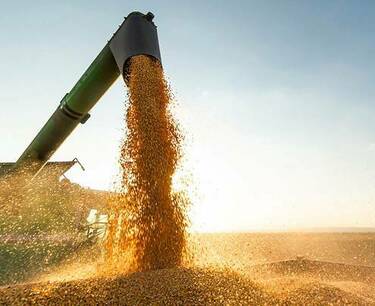 The base price for calculating the export duty on wheat can be increased to 17 thousand rubles. per ton