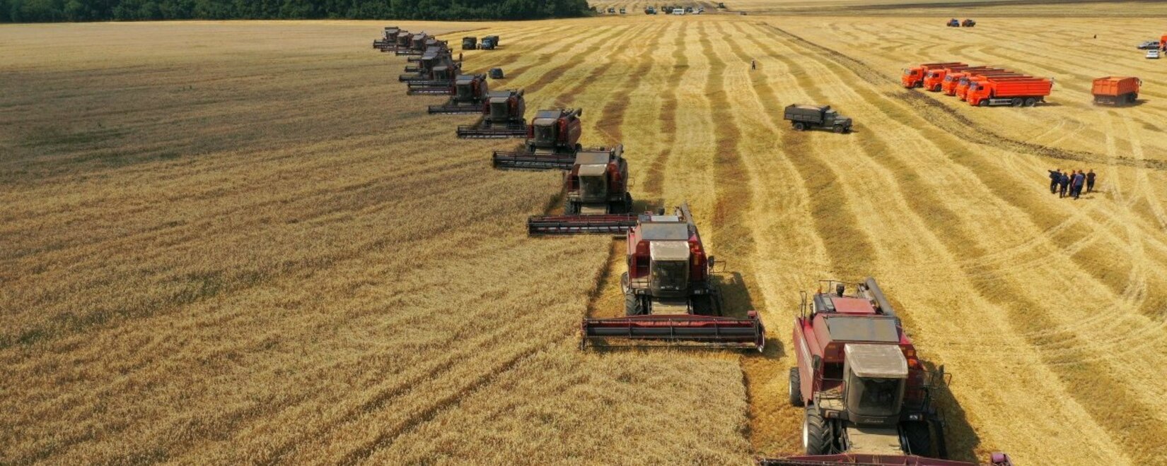 Мировой рынок зерна: цены на пшеницу выросли в пятницу, на сою и кукурузу упали в Чикаго